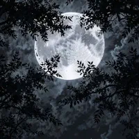 مشاهده اجرام اسمانی