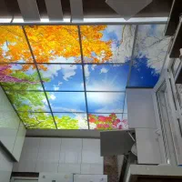 فروش-خانه-ویلای-کلنگی-و-شمالی-یک-طبقه