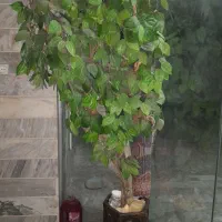 درختچه|گل مصنوعی|کرج, شهرک امام رضا (ع)|دیوار