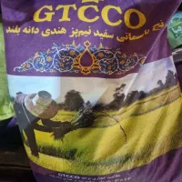 برنج هندی  جی تی سی و طبیعت