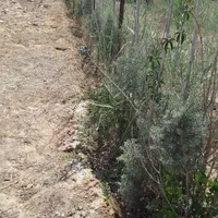 فروش یا تهاتر زمین با ملک یا ماشین زیر قیمت منطقه|فروش زمین و ملک کلنگی|چهاردانگه (تهران), |دیوار