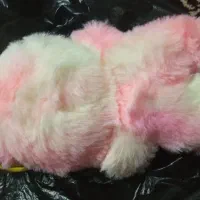 لبو بوی اصل اصل مفت مفت میدم ارزون|اسباب‌‌بازی|گناباد, |دیوار