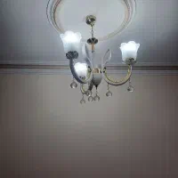 روستردرحدنو