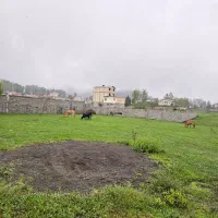 فروش زمین/ ویودار/ ۲۸۰متری/با بهترین شرایط پرداخت|فروش زمین و ملک کلنگی|تالش, هشتپر|دیوار