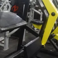 رگ باسن درحده نومبارز