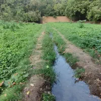 زمین 400متری