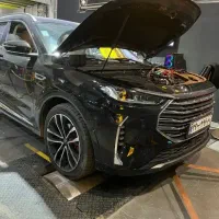 داینو کت مهدی