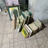 شابلون
