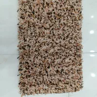 پادری