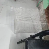 قفس