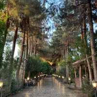 نیروی کار ساده و ماهر