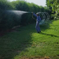 سمپاشی و موریانه زدایی تضمینی رامشیر|خدمات نظافت|رامشیر, |دیوار