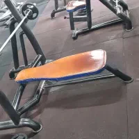 دستگاه سینه وپا