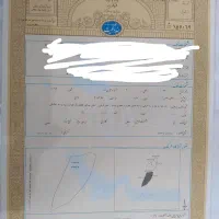 باغ-میوه-اژدهاتو