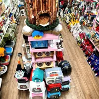 خاک گربه پد سگ کنسرو پامر حیوانات خانگی