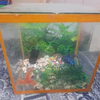 آکواریوم با پمپ و لوازم