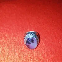 انگشتر شجر مردانه