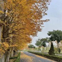 فروش آپارتمان شهرک پزشکان آمارو ..دهکده گیل کاپو