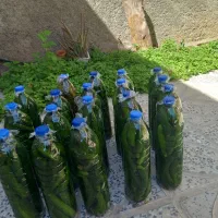 کره محلی به شرط|خوردنی و آشامیدنی|هندمینی, |دیوار