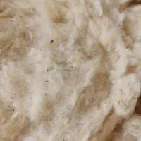 پنبه کلوزه نو تمیز