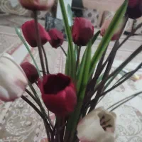 گل لاله|گل مصنوعی|قم, شهر قائم|دیوار