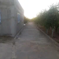 فروش باغ ویلا در روستای عضدیه شازند|فروش خانه و ویلا|شازند, |دیوار