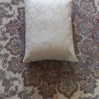 پشتی