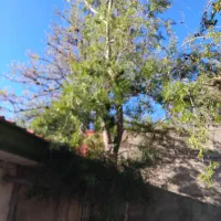 ویلای-فروشی-در-روستای-ییلاقی-فشند