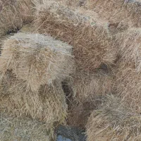 کاه و پرس و سامان و  کولش جو