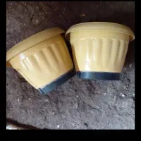 تعدادی گلدان  پلاستیکی