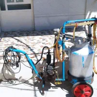 شیر دوش گاو و گوسفند دوتای