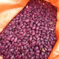 لوبیا چیتی و لوبیا قرمز