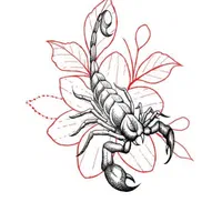 تتوکار|خدمات آرایشگری و زیبایی|گلستان (تهران), |دیوار