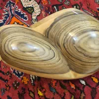 تار موسیقی|سازهای سنتی|جهرم, |دیوار