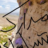 گمشده(مدارک)