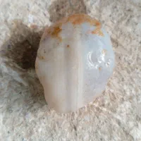 سنگ قیمتی|کلکسیون اشیاء عتیقه|تایباد, |دیوار