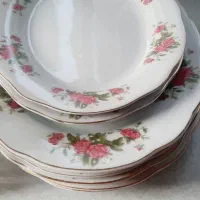 ظرف وظروف پذیرایی وتعدادی ظرف بفروش میرسه