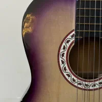 گیتار به همراهش کیفش