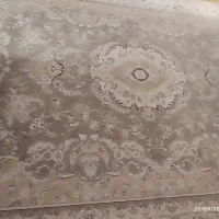 قالی ۱۲ متری|فرش|قوچان, |دیوار