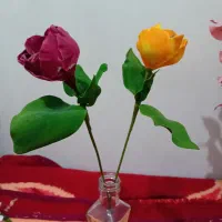 گل بلندر و هویه کاری|گل مصنوعی|پردیس, فاز ۱|دیوار