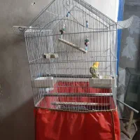 ۵ عدد قفس کاسکویی بزرگ با وسایل کامل