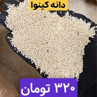 پخش لوازم عطاری|عمدهفروشی|قم, خاکفرج|دیوار