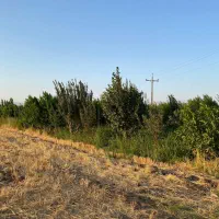 فروش فوری باغ موقعیت وقیمت بسیار مناسب|فروش دفتر صنعتی، کشاورزی، تجاری|سراب, |دیوار