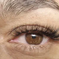 اکستنشن مژه لیفت و لمینت مژه و ابرو|خدمات آرایشگری و زیبایی|رشت, گلباغ نماز|دیوار