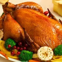 گوشت بوقلمون تازه