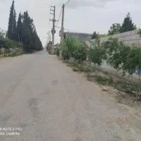 هزار-متر-زمین-باغ-شهری-برای-فروش