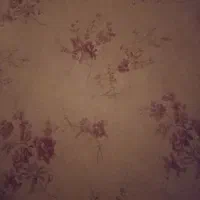 متقاضی سرویس مدارس