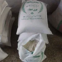 برنج ایرانی هاشمی و فجر به شرط دانه دار بودن
