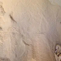 سبوس برنج  (کپک)تازه تمیز|خوردنی و آشامیدنی|رشت, گلباغ نماز|دیوار