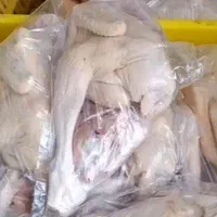 مرغ وخروس محلی